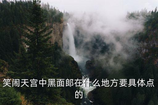 笑鬧天宮中黑面郞在什么地方要具體點的
