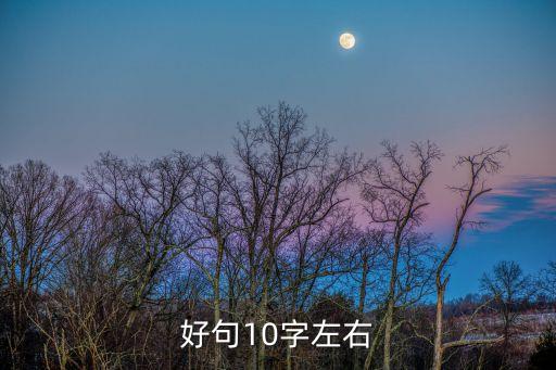 十字好句，十字以下的好句有哪些