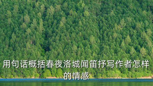 用句話概括春夜洛城聞笛抒寫作者怎樣的情感