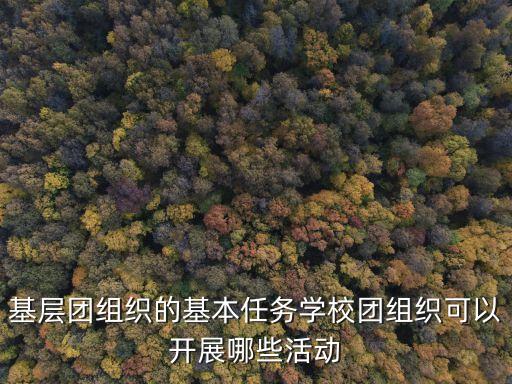 基層團組織的基本任務學校團組織可以開展哪些活動