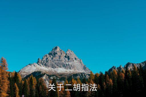 二胡的指法，關(guān)于二胡指法