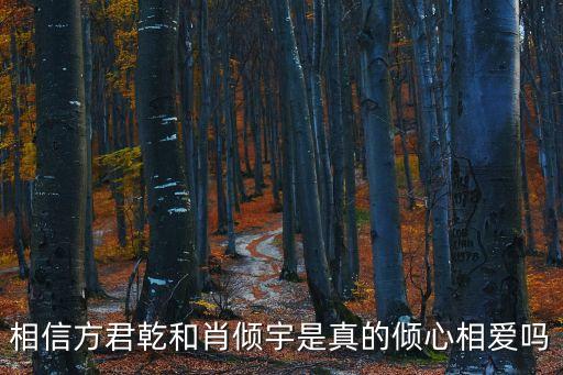 相信方君乾和肖傾宇是真的傾心相愛嗎