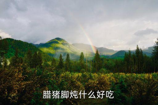 臘豬腳燉什么好吃