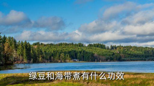綠豆海帶，海帶綠豆能一起吃嗎
