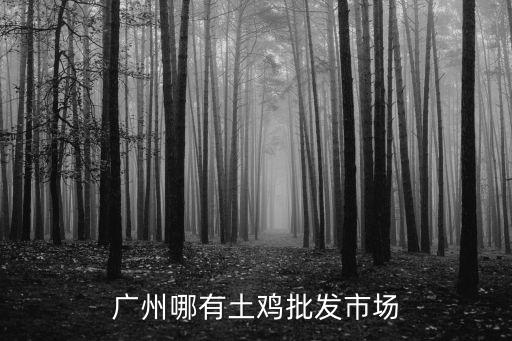 廣州哪有土雞批發市場
