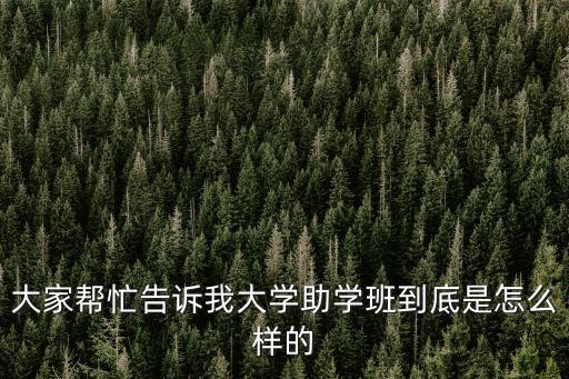 大家幫忙告訴我大學助學班到底是怎么樣的