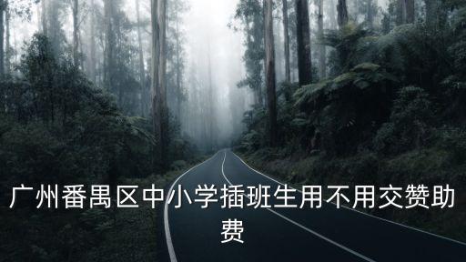 廣州番禺區中小學插班生用不用交贊助費