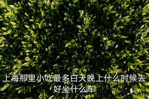 上海市早餐車最多的地方，上海早餐車問題100分