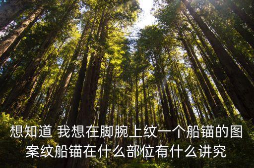 想知道 我想在腳腕上紋一個船錨的圖案紋船錨在什么部位有什么講究