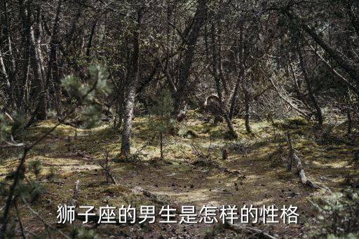獅子座男生性格特點，獅子座的男人性格有哪些特點