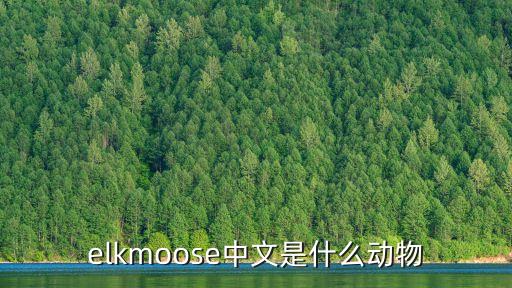 北美駝鹿，駝鹿馬鹿梅花鹿哪個高大