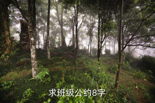 求班級(jí)公約8字