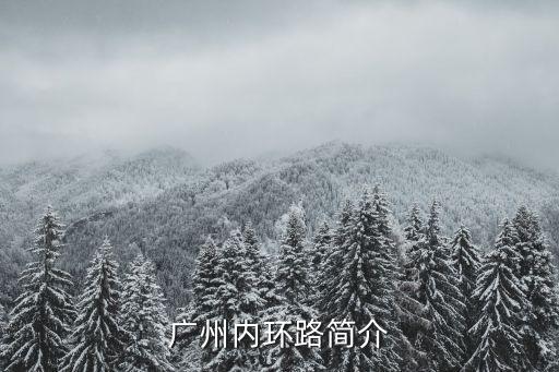 廣州內環路簡介
