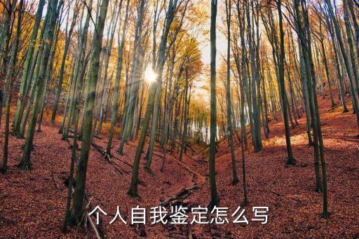 個(gè)人評(píng)定，個(gè)人評(píng)定怎么寫求
