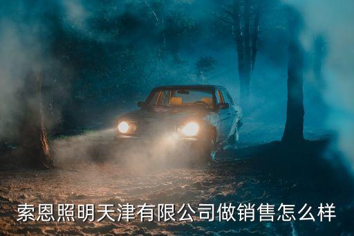索恩照明天津有限公司做銷(xiāo)售怎么樣