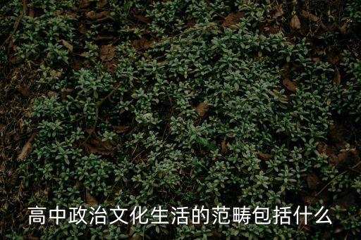 高中政治文化生活的范疇包括什么