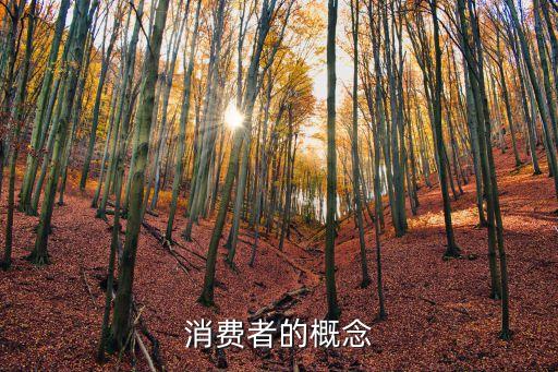 消費者的概念