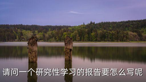 請問一個研究性學習的報告要怎么寫呢