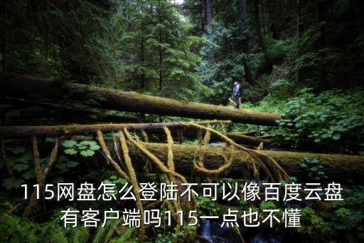 115網(wǎng)頁(yè)版登陸，用115瀏覽器怎么登錄進(jìn)115網(wǎng)盤