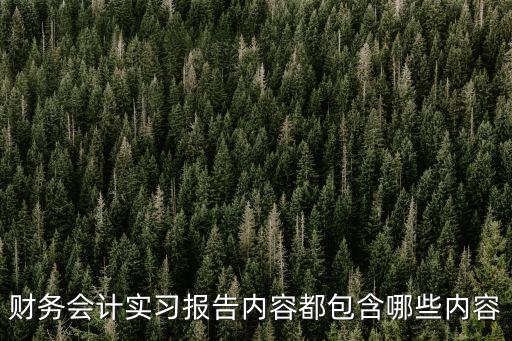 財務助理實習報告，財務會計實習報告內容都包含哪些內容