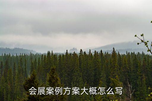 參展方案，參展方案需要寫展會設計嗎老大要我寫參加展會的方案但要我把展