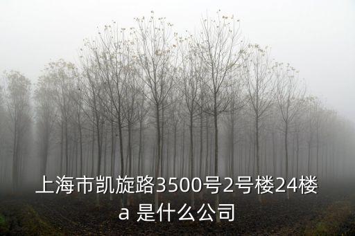 上海市靜寬貿(mào)易公司，上海武定路327號1201室是什么公司