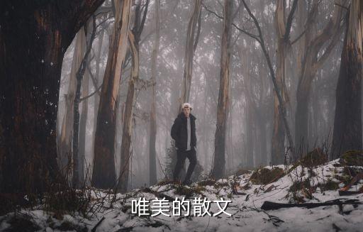 優美散文，唯美的散文