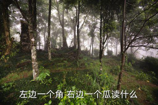 左邊一個(gè)角 右邊一個(gè)瓜讀什么