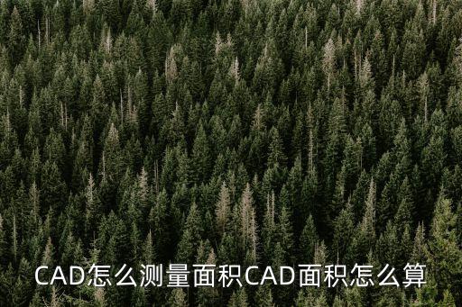 cad怎么測(cè)量面積，CAD測(cè)量面積的快捷鍵是