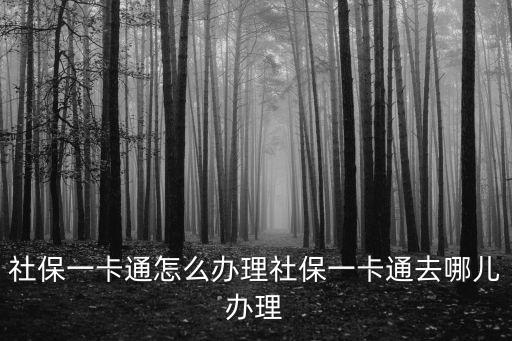 下載廣州社保一卡通，個人社保一卡通辦理流程