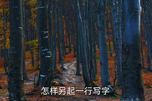 怎樣另起一行寫字