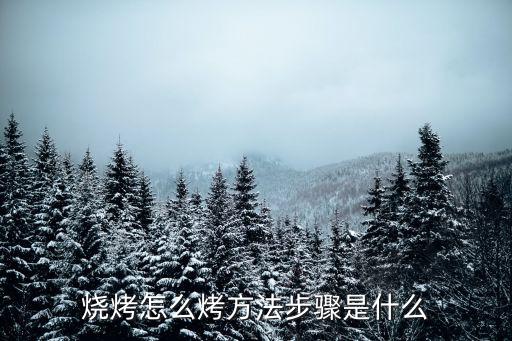 新手烤燒烤技巧，我想開燒烤攤誰(shuí)能教我簡(jiǎn)單的燒烤知識(shí)領(lǐng)我入門