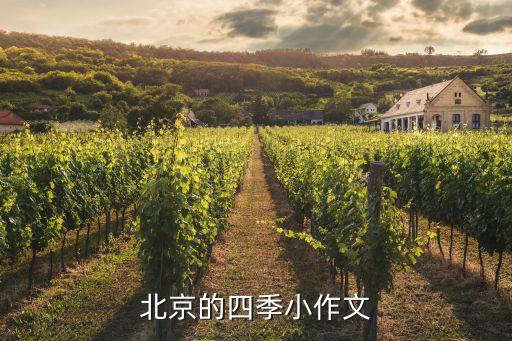 北京作文，介紹北京的英語作文 80詞左右就行 ZY最好有翻譯