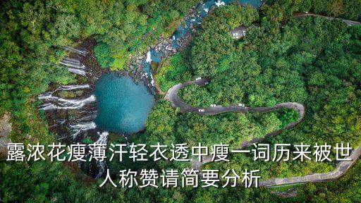 露濃花瘦薄汗輕衣透中瘦一詞歷來被世人稱贊請簡要分析