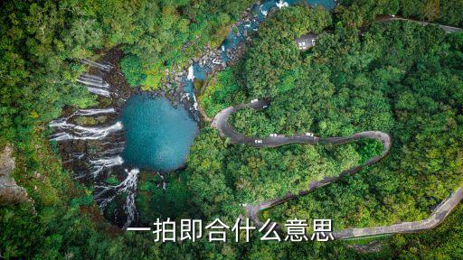 一拍即合，一拍即合的意思是什么