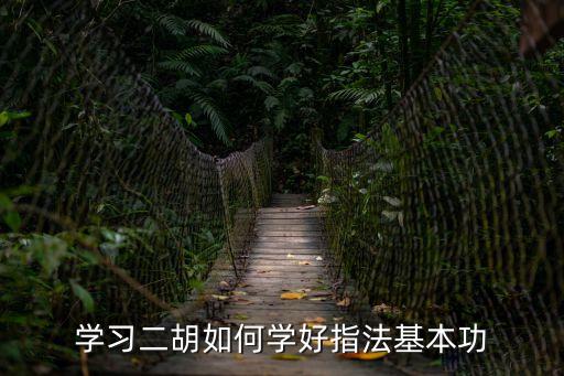 學習二胡如何學好指法基本功