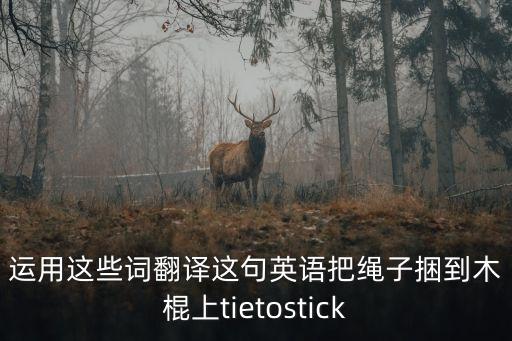 繩子的英文，把你的狗拴在繩子上 英語翻譯