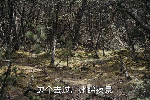 老外看中國(guó)廣州夜景，廣州珠江的夜晚確實(shí)有那么美