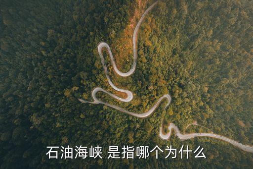 石油海峽 是指哪個為什么
