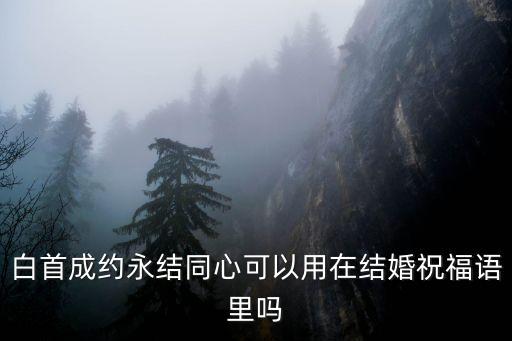 白首成約，白首成約情侶網名下一句是什么