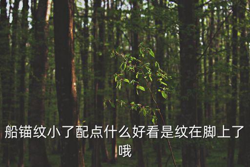 船錨紋小了配點什么好看是紋在腳上了哦