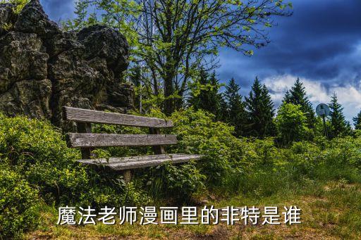 魔法老師漫畫里的非特是誰