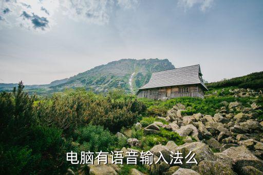 電腦語音輸入法，電腦有語音輸入法么