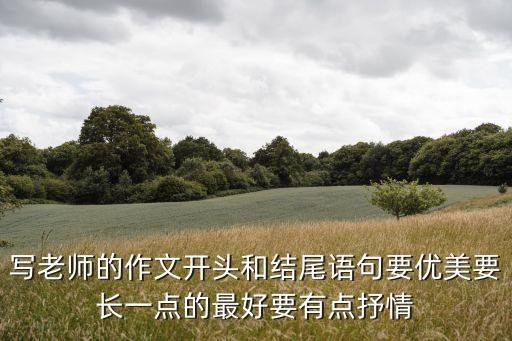我的老師作文結尾，以我的老師寫一篇作文 只要開頭和結尾以及題目 要好一點 急急急急急
