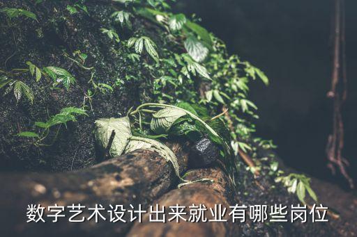 數(shù)字藝術(shù)設(shè)計(jì)，數(shù)字藝術(shù)設(shè)計(jì)出來就業(yè)有哪些崗位