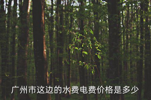 廣州市這邊的水費電費價格是多少