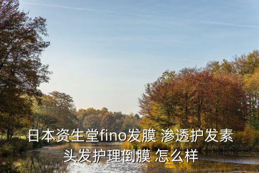 資生堂發膜，資生堂水之密語發膜怎么樣