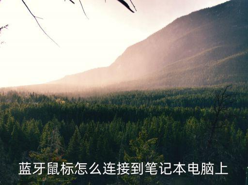 如何連接藍(lán)牙鼠標(biāo)，藍(lán)牙鼠標(biāo)怎么連接