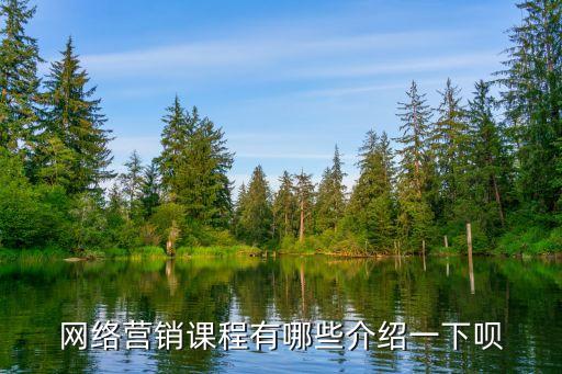 網(wǎng)絡營銷課程有哪些介紹一下唄