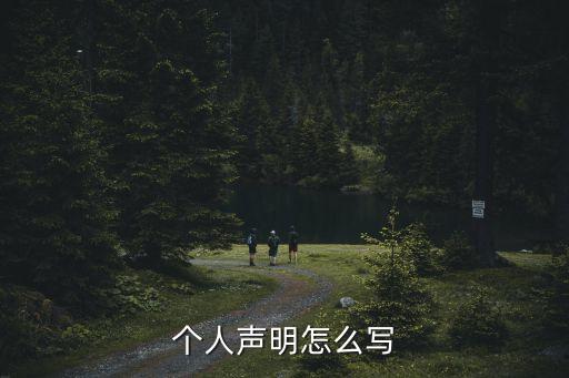 個人聲明怎么寫